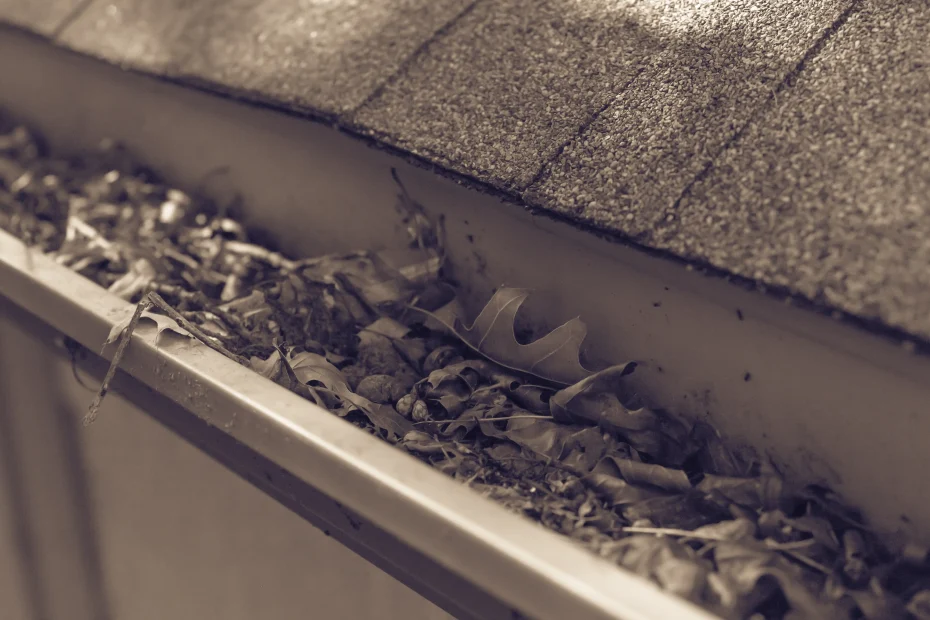 Gutter Cleaning Harpersville