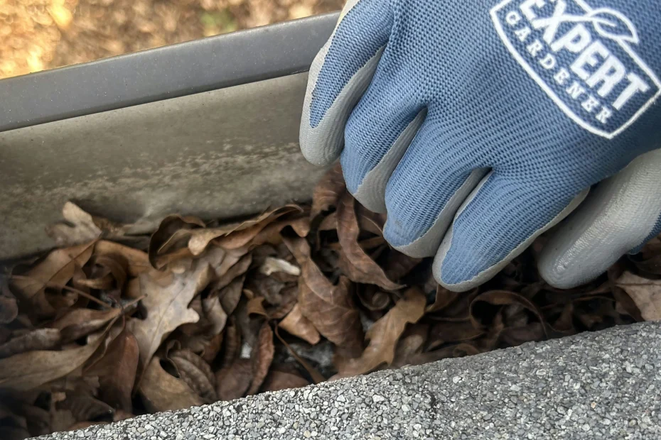 Gutter Cleaning Harpersville